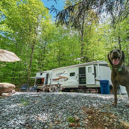 Готель Rv Adventure Roscoe Pet Friendly Екстер'єр фото