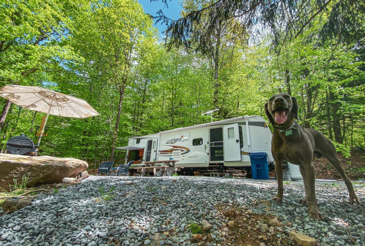 Готель Rv Adventure Roscoe Pet Friendly Екстер'єр фото